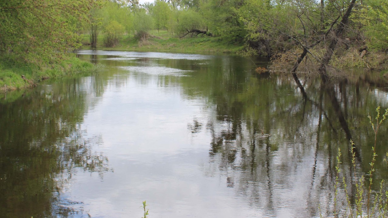 Про стан води у відкритих водоймах
